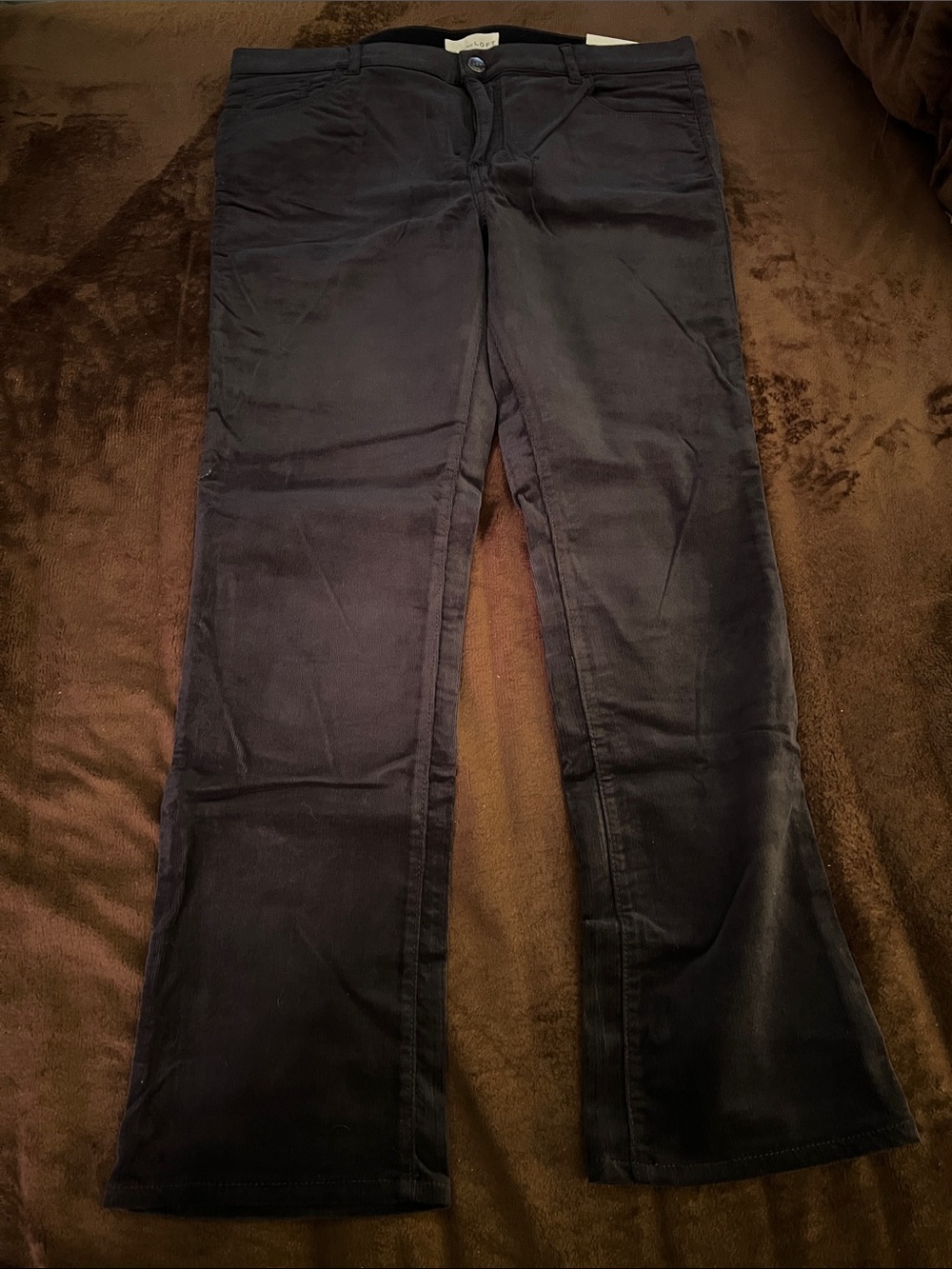 LOFT Navy Modern Straight Leg Corduroy Velvet Pants